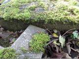 image of grave number 171447